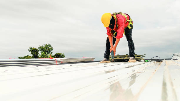 Roof Moss and Algae Removal in Ben Bolt, TX