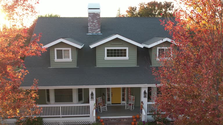 Sheet Metal Roofing in Ben Bolt, TX